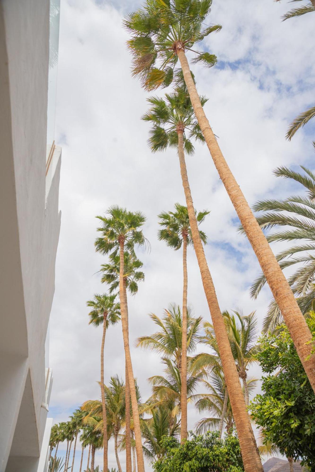Palm Beach Fuerteventura Tarajalejo Bagian luar foto